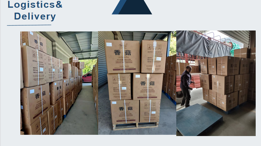 Logistic.png