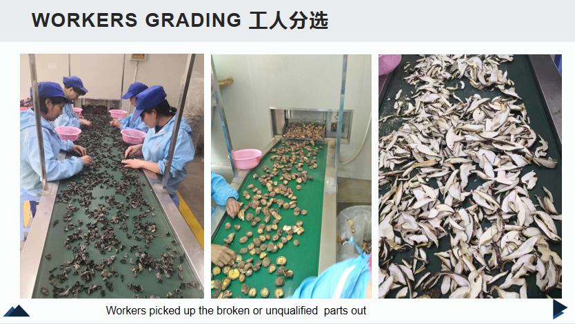 workers selecting.png workers selecting.png