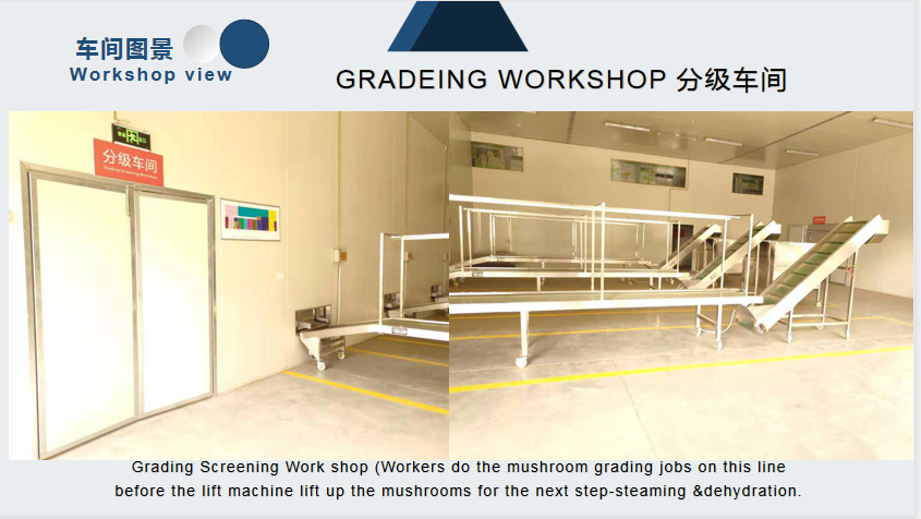 Grading Workshop.png Grading Workshop.png