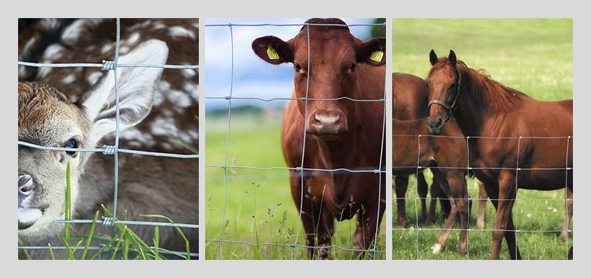 Grassland Fence application.jpg Grassland Fence application.jpg