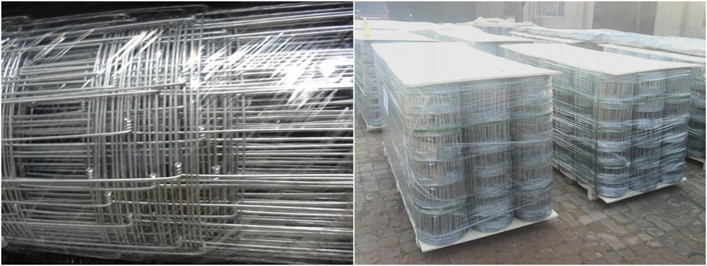 High Tension Strength Hot Dipped Galvanized Cattle Wire Mesh Fence/Galvanized Kraal Fencing
