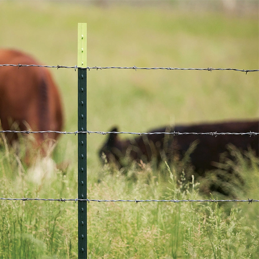 High Tension Strength Hot Dipped Galvanized Cattle Wire Mesh Fence/Galvanized Kraal Fencing
